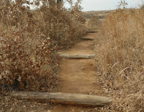 A dirt path lined with wooden logs, surrounded by dry grass and shrubs in a natural landscape.