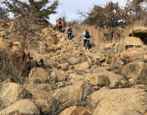 Three hikers navigate a rocky trail surrounded by dry grass and sparse trees on a sunny day.