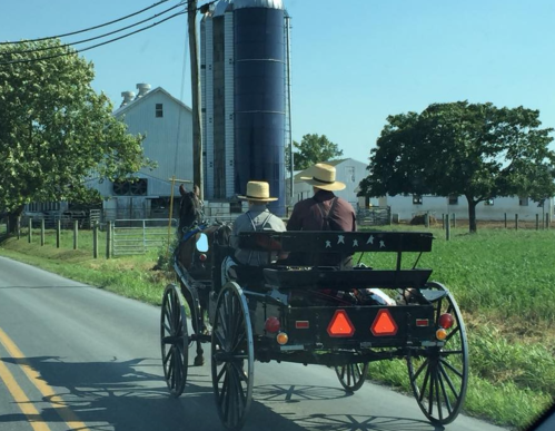 Two people in a horse-drawn buggy on a rural road, with a barn and silo in the background.