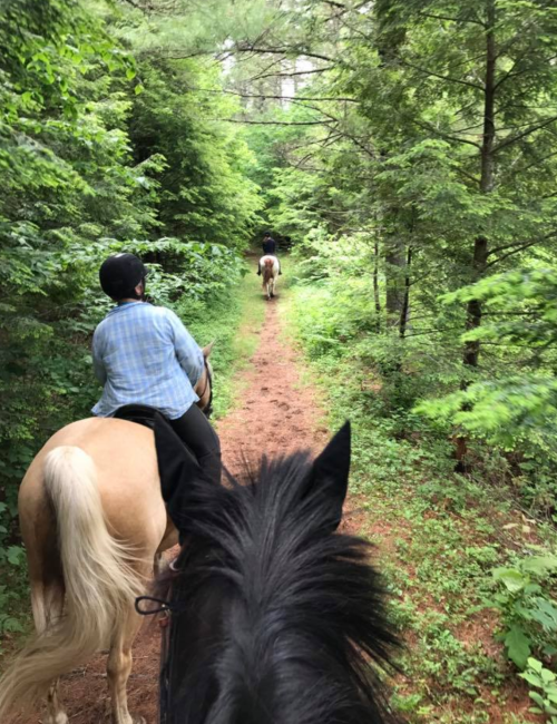 Two riders on horseback navigate a wooded trail, surrounded by lush greenery.