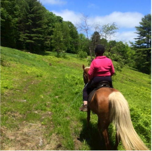 A person in a pink jacket rides a horse along a grassy trail surrounded by trees under a blue sky.