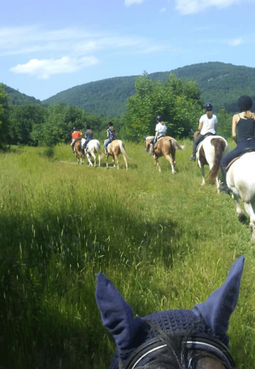 A group of people riding horses through a grassy field with mountains in the background on a sunny day.