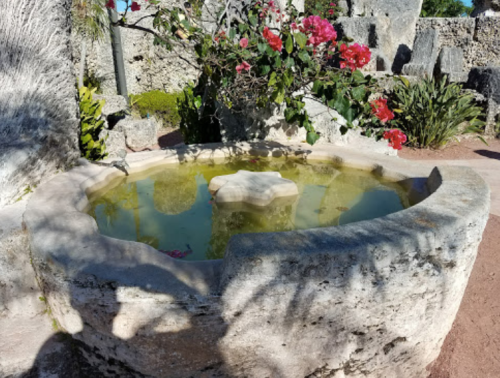 A stone fountain surrounded by vibrant flowers and greenery, with clear water reflecting the surroundings.