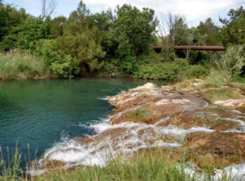 A serene river scene with flowing water over rocks, surrounded by lush greenery and trees under a cloudy sky.