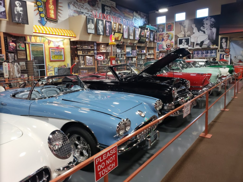 A row of classic cars in a museum, featuring vibrant colors and vintage decor in the background. Signs say "Please do not touch."