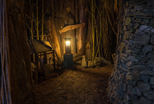 A dimly lit forest scene with a lantern, wooden structures, and bamboo, creating a mysterious atmosphere.