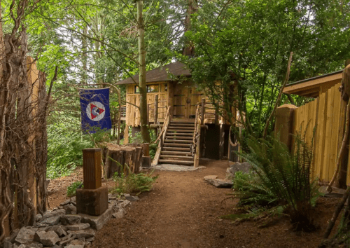 A wooden treehouse surrounded by lush greenery, with a path leading up to it and a colorful flag nearby.