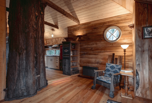Cozy interior of a rustic cabin featuring wooden walls, a tree trunk, and a circular window.