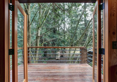 View from a wooden deck overlooking a lush, green forest with trees and a glimpse of a path below.