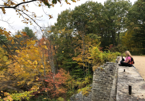 A person sits on a stone wall, surrounded by vibrant autumn foliage in a serene outdoor setting.