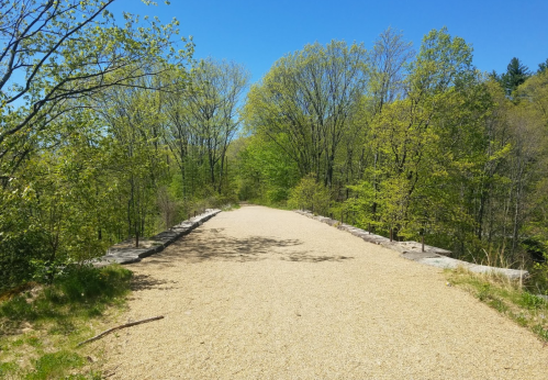 A gravel path leads through lush green trees under a clear blue sky, inviting exploration in a serene natural setting.
