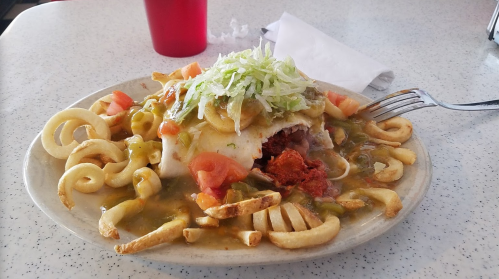 A plate of a large burrito topped with lettuce, tomatoes, and green sauce, served with curly fries and a red cup in the background.