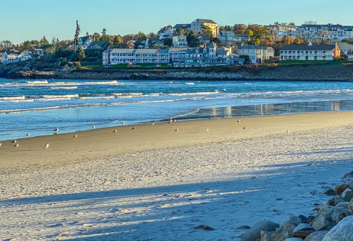 A sandy beach with seagulls, waves lapping at the shore, and a coastal town in the background under a clear sky.