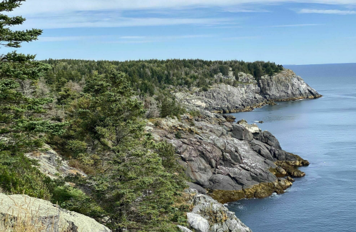 Rocky coastline with trees, cliffs, and calm ocean under a blue sky with scattered clouds.