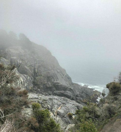 Foggy coastal cliffs with rocky terrain and waves crashing below, creating a serene and mysterious atmosphere.
