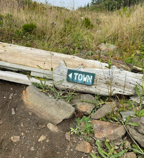A weathered wooden sign pointing left, labeled "TOWN," surrounded by grass and rocks.