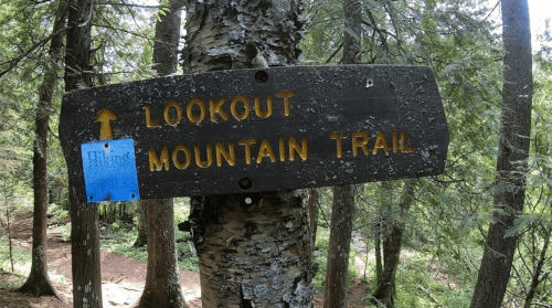 Wooden signpost reading "Lookout Mountain Trail" in a forested area, with a blue marker attached.