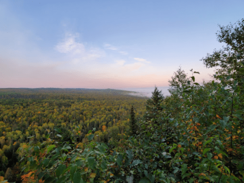 A panoramic view of a lush forest with autumn colors under a clear sky at dawn. Mist hovers over the treetops.