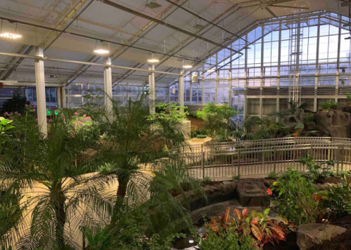 A spacious greenhouse filled with lush plants, water features, and natural light streaming through large glass windows.