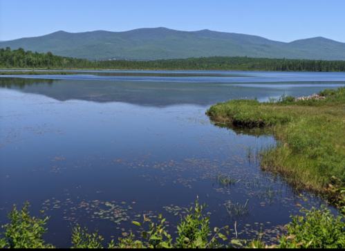 A serene lake surrounded by lush greenery and mountains under a clear blue sky.