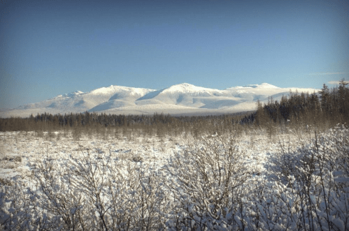 Snow-covered mountains rise above a frosty landscape, with a foreground of white-dusted shrubs and trees under a clear sky.