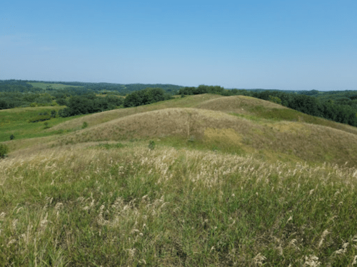 Rolling green hills under a clear blue sky, with patches of grass and trees in the background.
