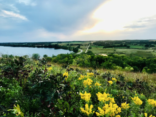 A scenic view of a river and rolling hills, with vibrant yellow flowers in the foreground under a cloudy sky.