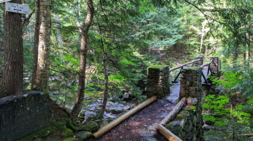 A rustic stone bridge crosses a small stream in a lush, green forest, surrounded by trees and moss.