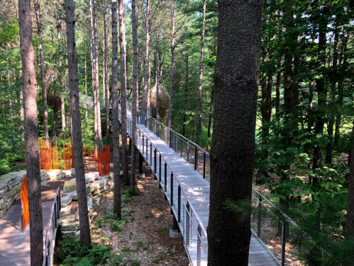 A wooden walkway winds through a lush forest, surrounded by tall trees and vibrant orange structures.