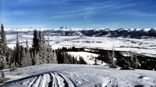 Snow-covered landscape with mountains in the distance, framed by evergreen trees under a clear blue sky.