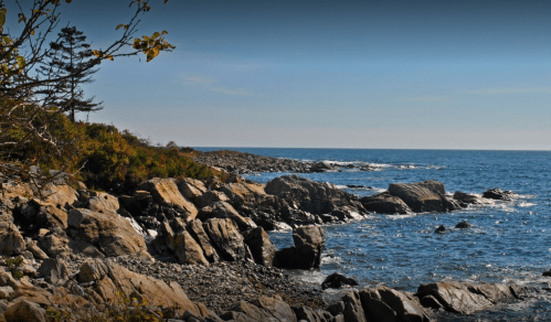 Rocky coastline with clear blue water and a few trees under a bright sky.