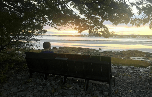 A person sits on a bench by the shore, watching a sunset over the water, framed by trees.