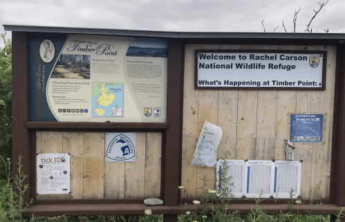 Information board at Rachel Carson National Wildlife Refuge, featuring details about Timber Point and local events.