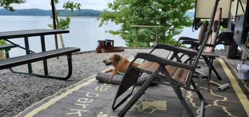 A dog relaxes on a mat by a lakeside campsite with chairs and a picnic table in the background.