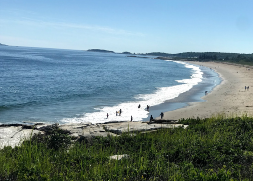 A scenic beach view with gentle waves, people walking along the shore, and greenery in the foreground under a clear blue sky.