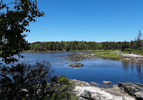 A serene landscape featuring a calm blue lake surrounded by lush green trees and rocky shores under a clear blue sky.