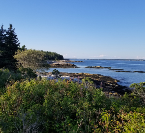 Coastal view with rocky shoreline, lush greenery, and clear blue sky over calm waters.