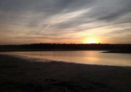 A serene sunset over a calm river, with silhouettes of trees in the background and soft clouds in the sky.