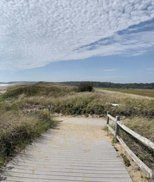 A wooden path leads through tall grass to a beach under a partly cloudy sky.