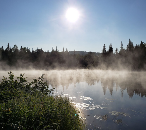 A serene lake at sunrise, with mist rising from the water and trees silhouetted against a clear blue sky.