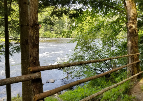 A serene river flows beside a wooden fence, surrounded by lush green trees and foliage.