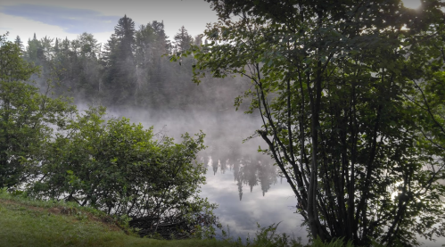 A serene lake surrounded by misty trees and lush greenery, creating a tranquil, foggy morning scene.