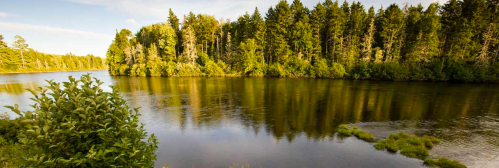 A serene river scene surrounded by lush green trees and reflections on the water's surface.