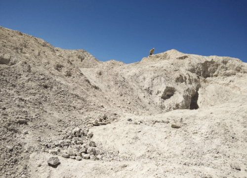 A person in a yellow shirt stands atop a rocky, sandy hill under a clear blue sky.