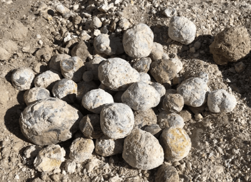 A cluster of round, pale rocks scattered on dry, sandy ground.