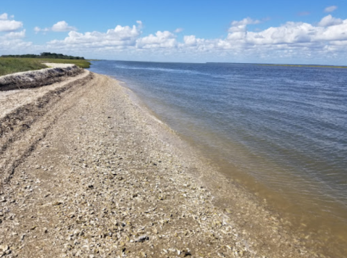 A serene shoreline with a sandy beach and calm water under a blue sky with fluffy clouds.