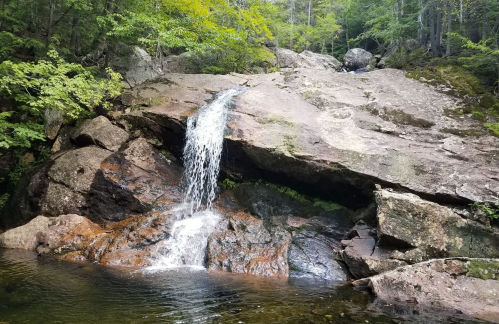 A serene waterfall cascading over rocky terrain, surrounded by lush green trees and a tranquil pool below.