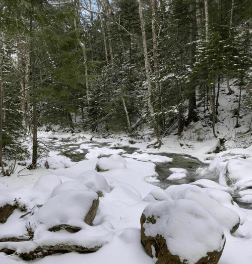 A serene winter scene with a flowing stream surrounded by snow-covered rocks and trees in a forest.
