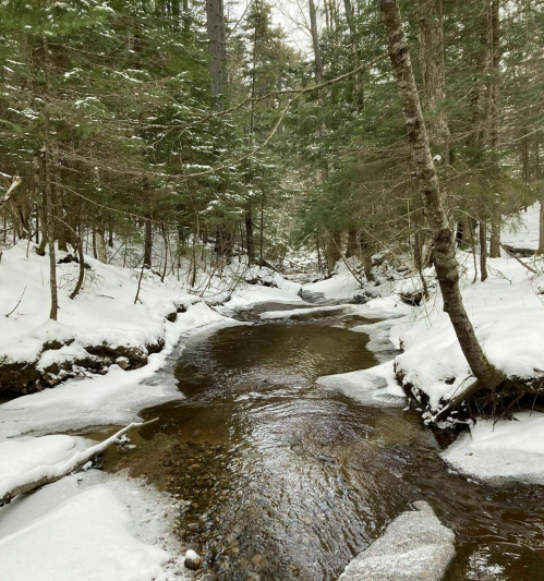 A serene winter scene of a snow-covered forest with a gently flowing creek surrounded by trees.