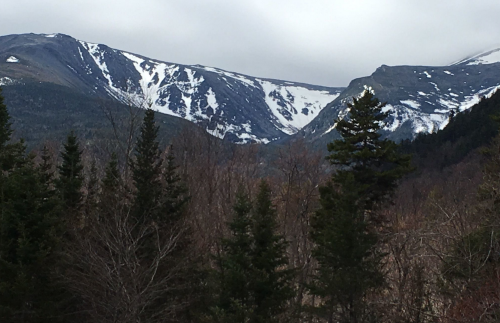 Snow-capped mountains rise above a forest of evergreen trees under a cloudy sky.